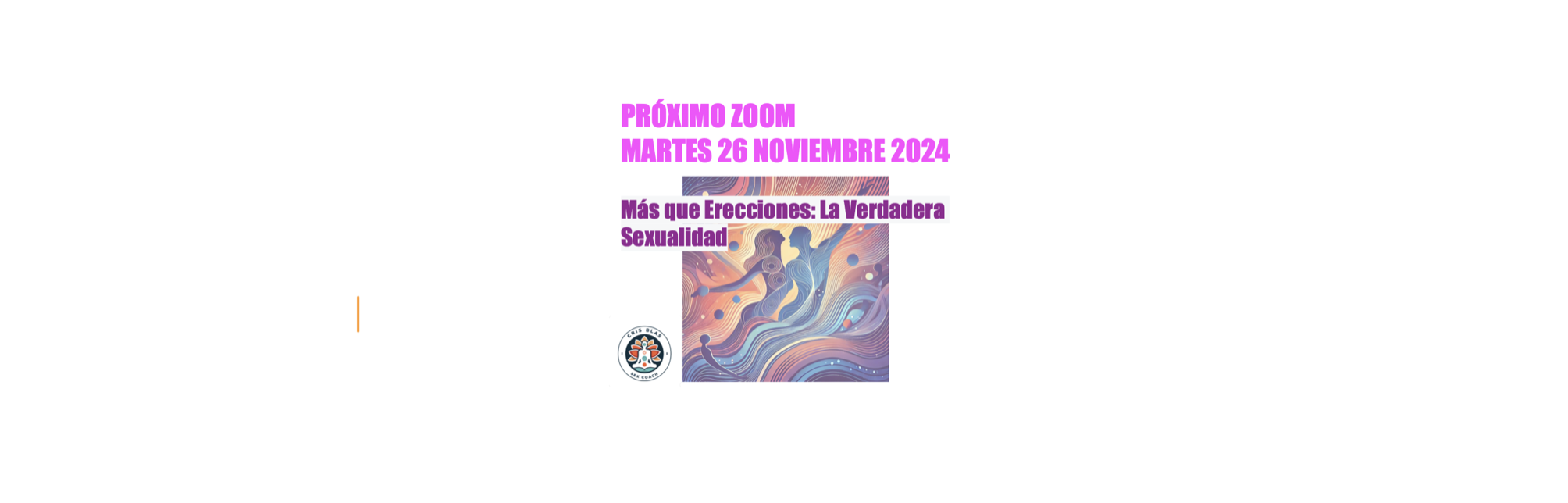 Próximo Zoom 26 de Noviembre 2024 a las 20h Madrid