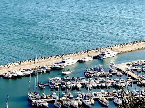 Harbor-Sidi-Bou-Said