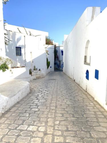 Paseo-Sidi-Bou-Said