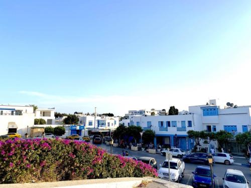 Sidi-Bou-Saïd-Site-archéologique-de-Carthage-Tunisie